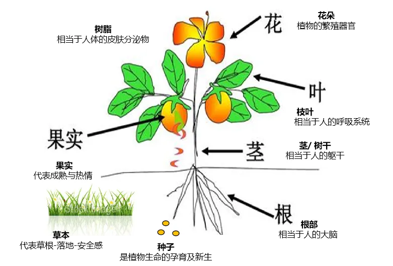 1722299781412545.png 图片2.png