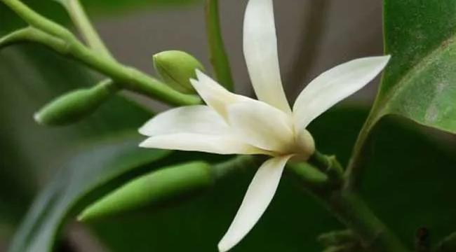 1722299803759510.png 图片1.png